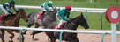 Southwell (AW) Racecourse